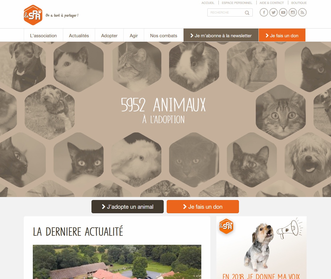 You are currently viewing Sté protectrice des animaux