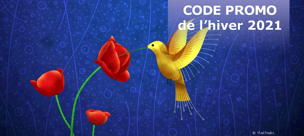 You are currently viewing Code Promo de l’hiver 2021