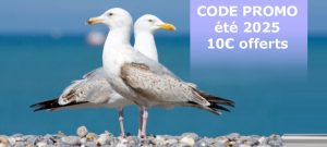 Lire la suite à propos de l’article Code promo été 2025 -10€